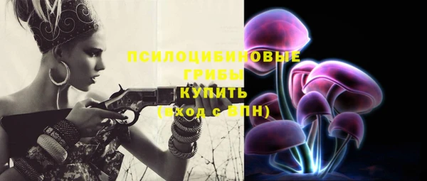 соль ск Лабытнанги